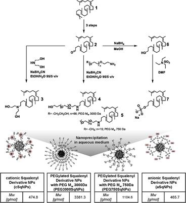 Synthesis and Biopharmaceutical Characterization of Amphiphilic Squalenyl Derivative Based Versatile Drug Delivery Platform